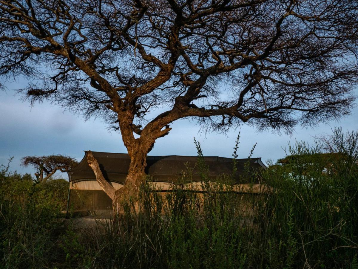 Tulia Amboseli Safari Camp Hotel Kültér fotó